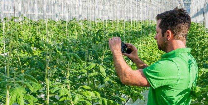 Pascal Gutknecht hält die Kundschaft auf dem Laufenden. 