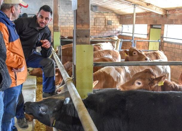 Rindviehmastbetrieb der Familie Schaad