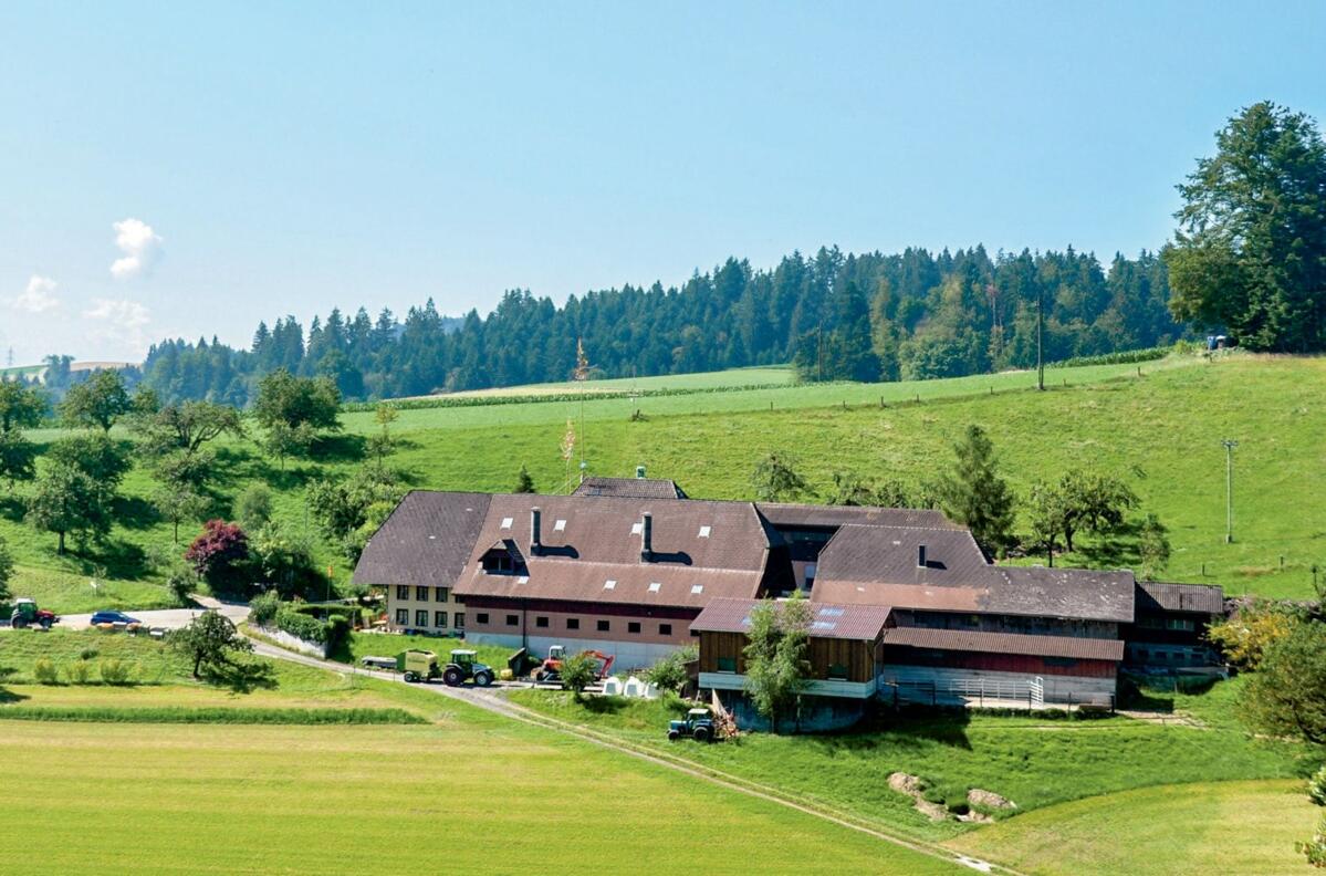 Der Ertragswert steigt per April 2018 voraussichtlich um 10 –20%. 