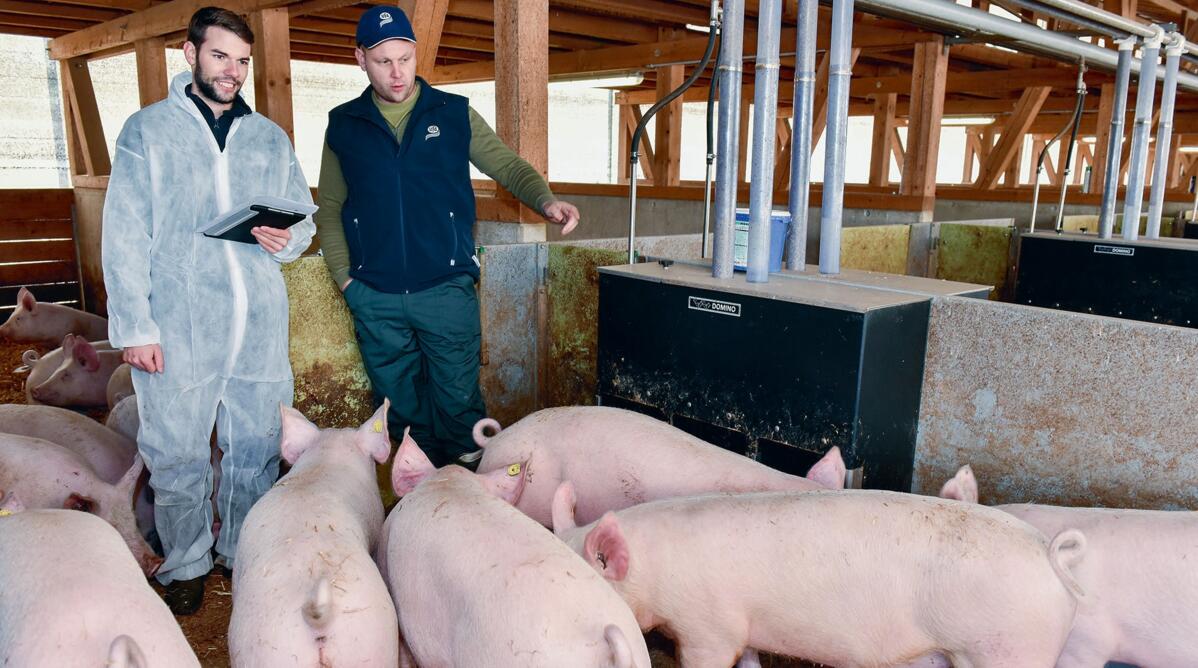 Potenzial zeitnah erkennen und schneller reagieren. 