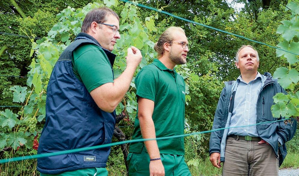 Winzer Nando Oberli (Mitte) im Gespräch mit Roger Mohr von Grün Stadt Zürich (rechts).