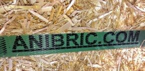 ANIbric-Ballen