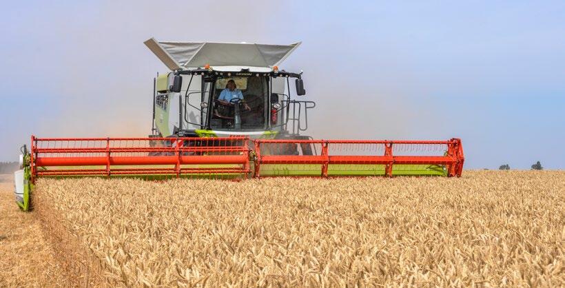 La nouvelle série Lexion est dotée d’un réglage automatique du battage et d’une cabine plus spacieuse