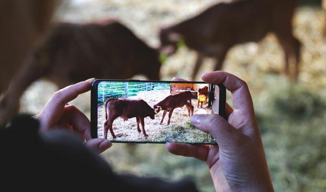 Instagram lebt von guten Bildern.