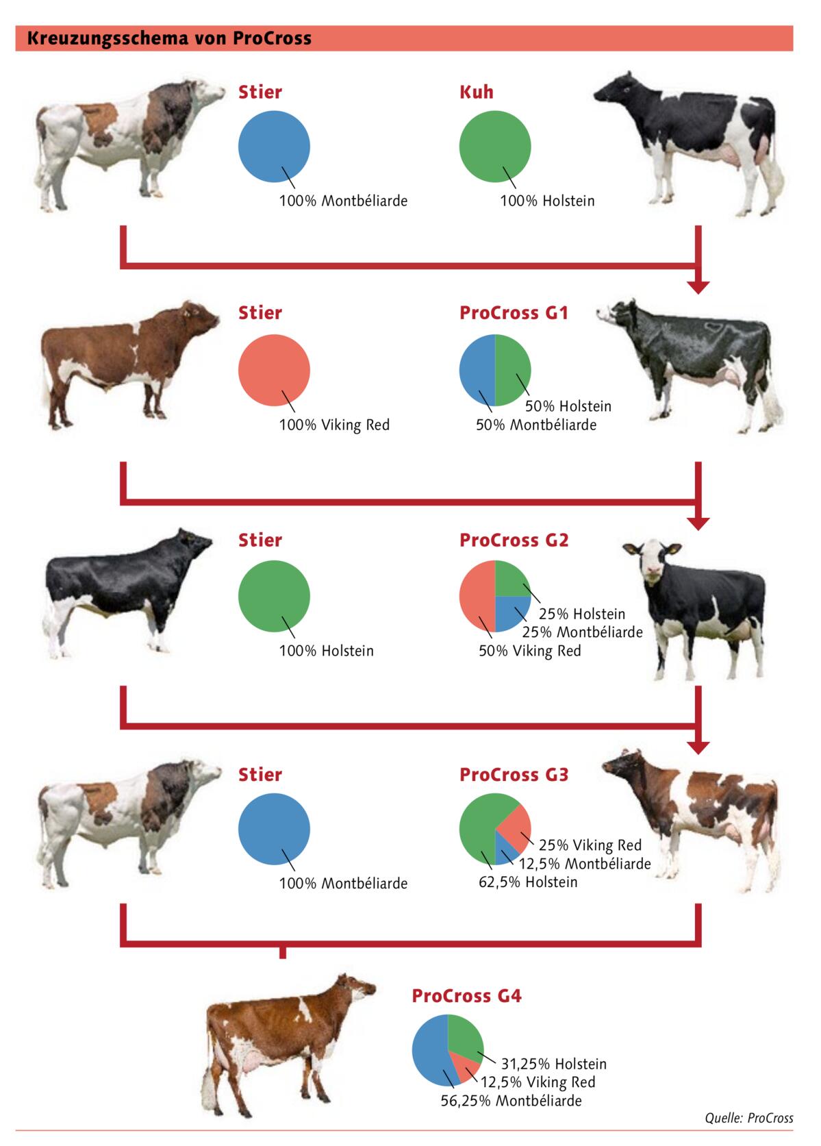 Schéma de croisement de ProCross
