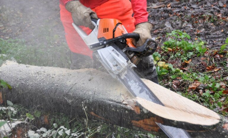 Bei Kettensägen sind eine hohe Leistung und ein möglichst tiefes Maschinengewicht gefragt