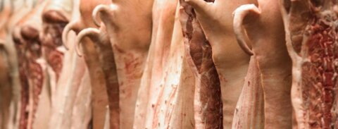 Fleisch