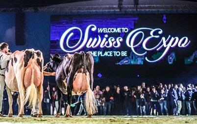 Swiss Expo