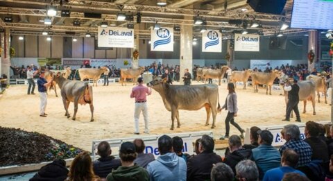 Tiervorführungen zählen zu den Höhepunkten der Tier&Technik