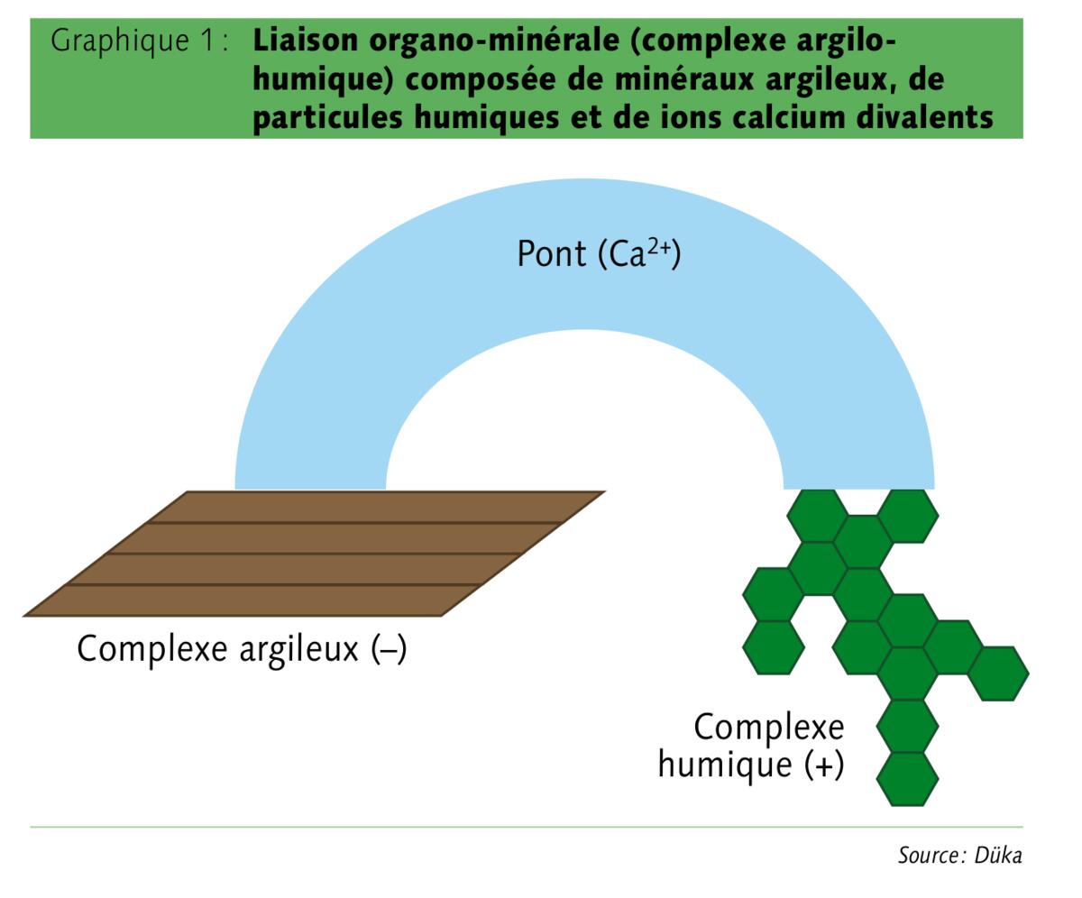 Chaux avec silicium et oligoéléments