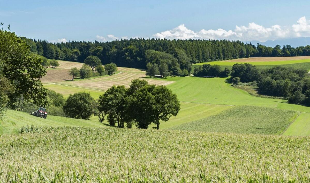 Das strategische Geschäftsfeld Agrar wurde in der überarbeiteten LANDI Grundstrategie weiter ausgebaut