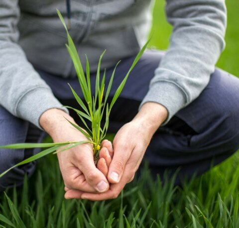 L’agriculture subit le changement climatique tout en y contribuant