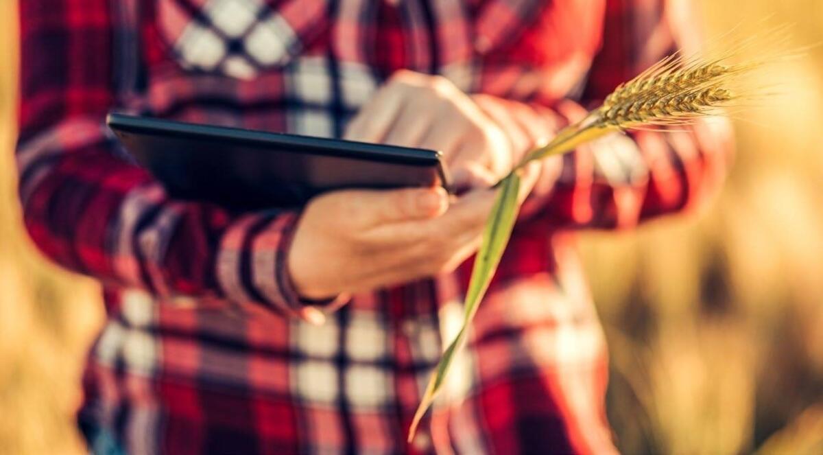 Die Digitalisierung bietet für die Land und Ernährungswirtschaft grosse Chancen.