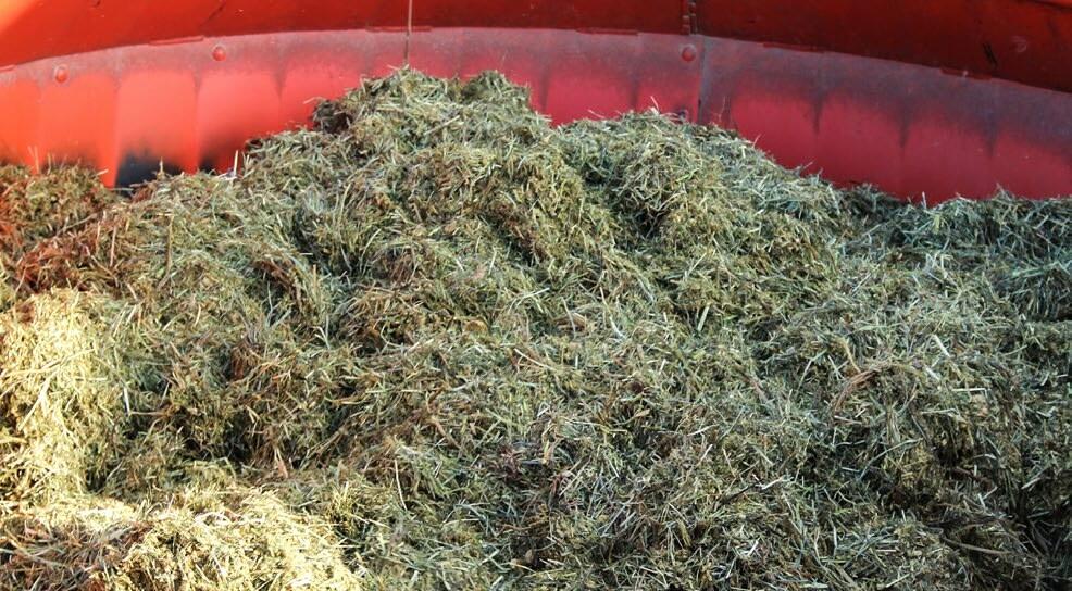 Im Sommer ist die Gefahr einer Nach erwärmung der Silage grösser.