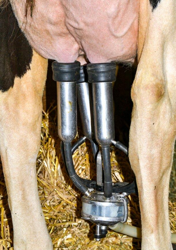 En été, les taux cellulaires sont généralement plus élevées qu’en hiver.
