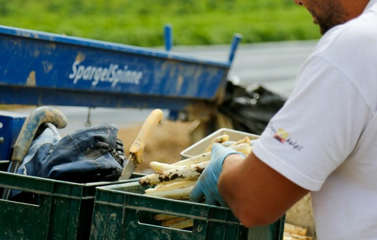 Spezialkulturen Spargel
