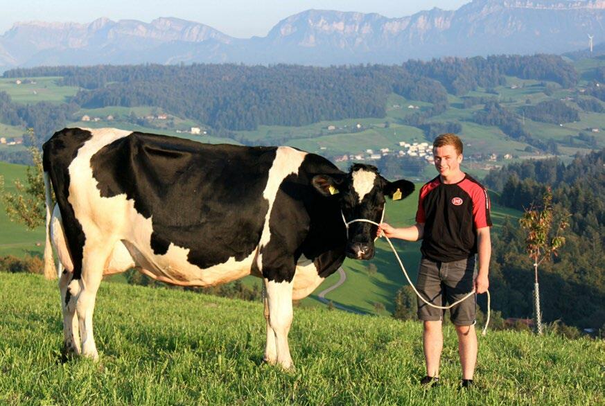 Christian Bühler hat seit etwas über einem Jahr einen Melkroboter. 