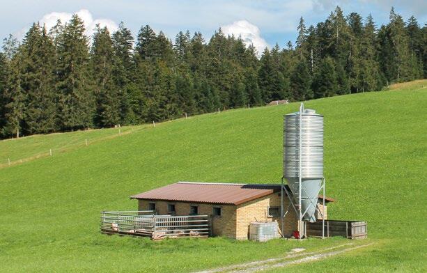 Kleine Mastbetriebe mit bis zu 60 Mastplätzen können am «SuisKlein»-Programm teilnehmen.