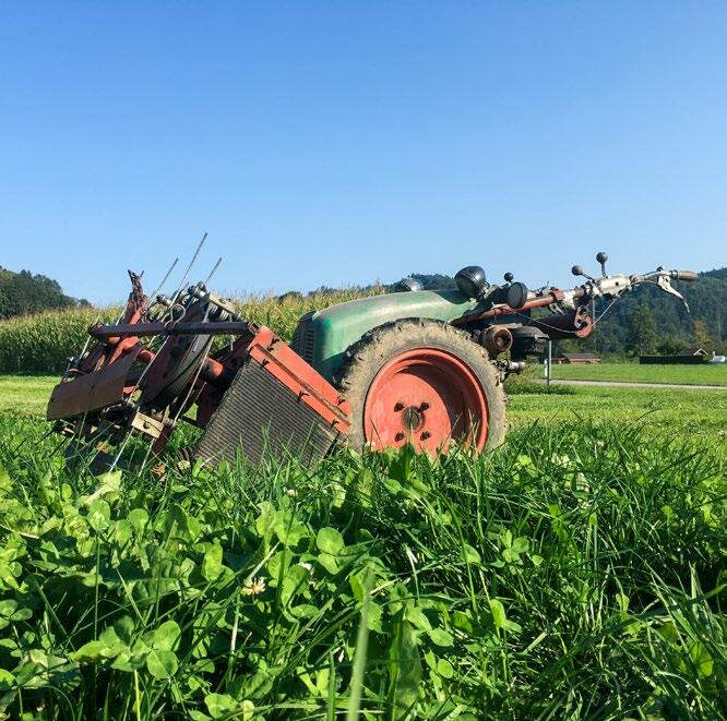 Amortissement : la valeur vénale des anciennes machines agricoles est souvent supérieure à leur valeur comptable. Cette différence a des conséquences fi...