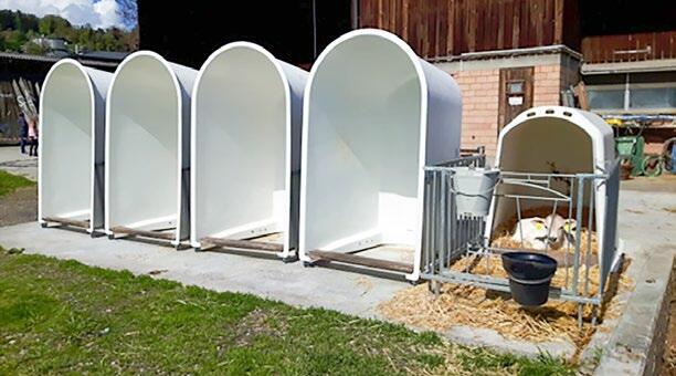 En cas de problème de cryptosporidies, les veaux nouveau-nés ne doivent être placés que dans des igloos lavés avec le nettoyeur à haute pression et qui...