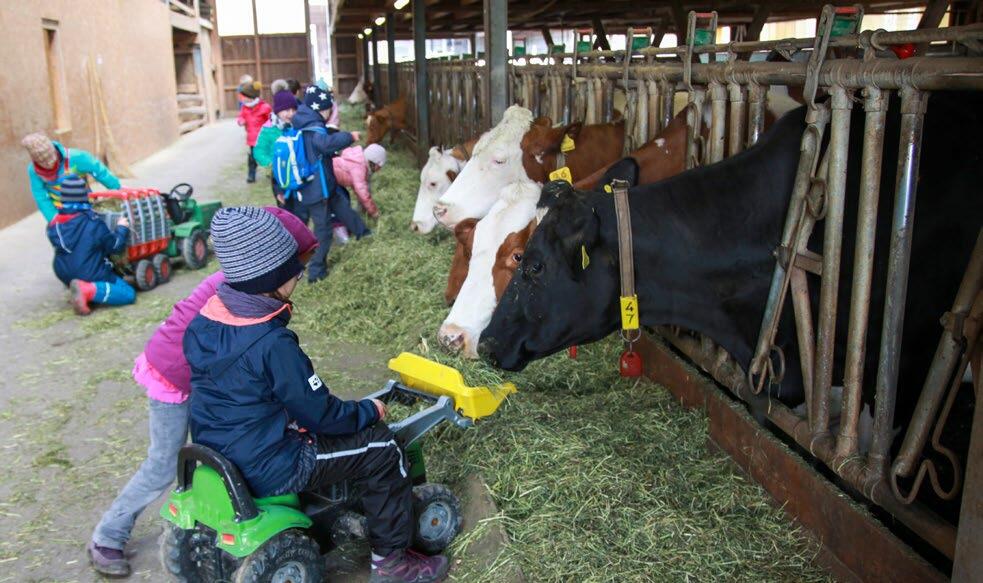 Kinder sind die Meinungsmacher der Zukunft. Ihre Erlebnisse mit dem Projekt Schule auf dem Bauernhof (SchuB), werden ihnen bis ins Erwachsenenalter in E...