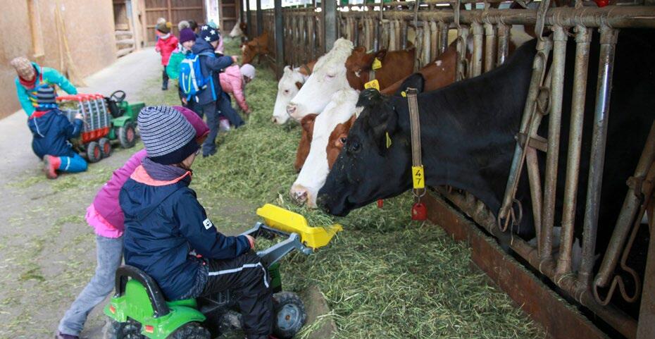 Les enfants sont les faiseurs d’opinion de demain. Les expériences qu’ils réalisent dans le cadre du projet Ecole à la ferme resteront gravées dans leur...