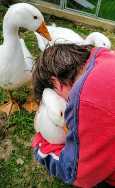6294969_image_0_17.jpg