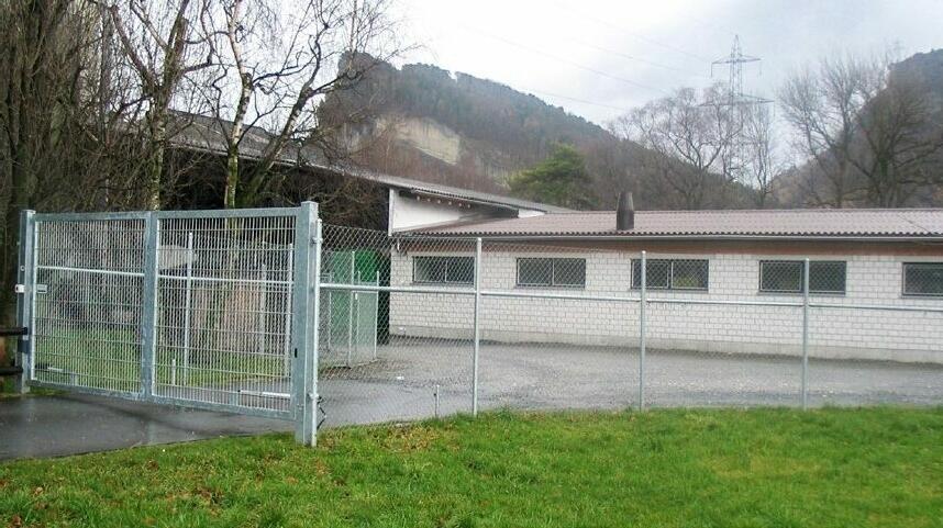 Ein Zaun schützt den Schweine-Betrieb vor Wildtieren. 