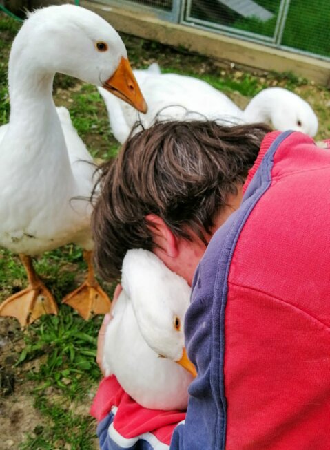 6295188_image_0_17.jpg