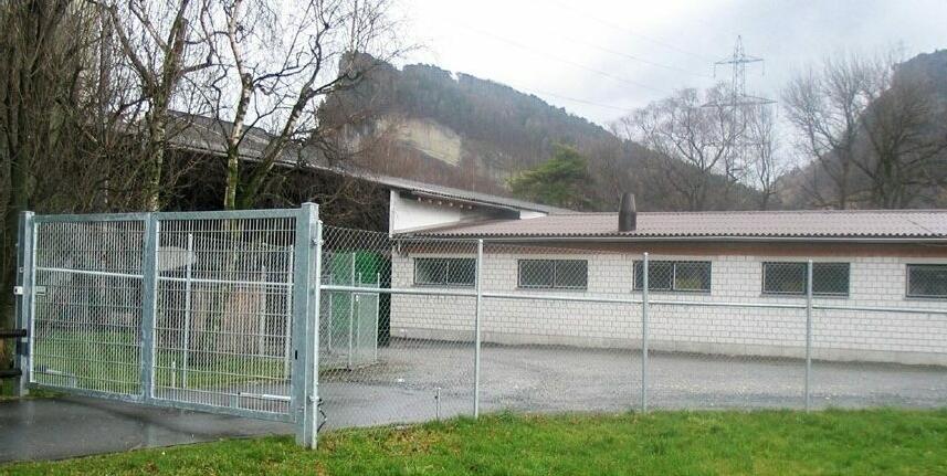 Une clôture protège l’exploitation porcine des animaux sauvages. 