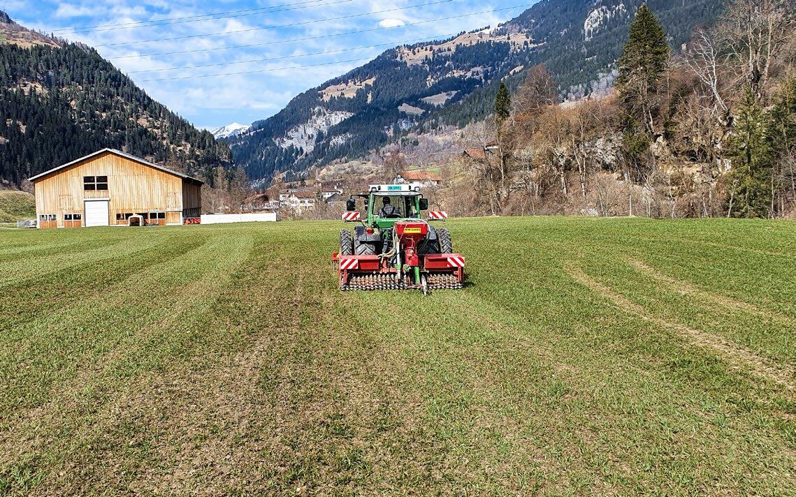Lorsque les conditions sont optimales, les semences peuvent être mises en place après un passage de herse étrille. Un bon contact avec le sol est primor...