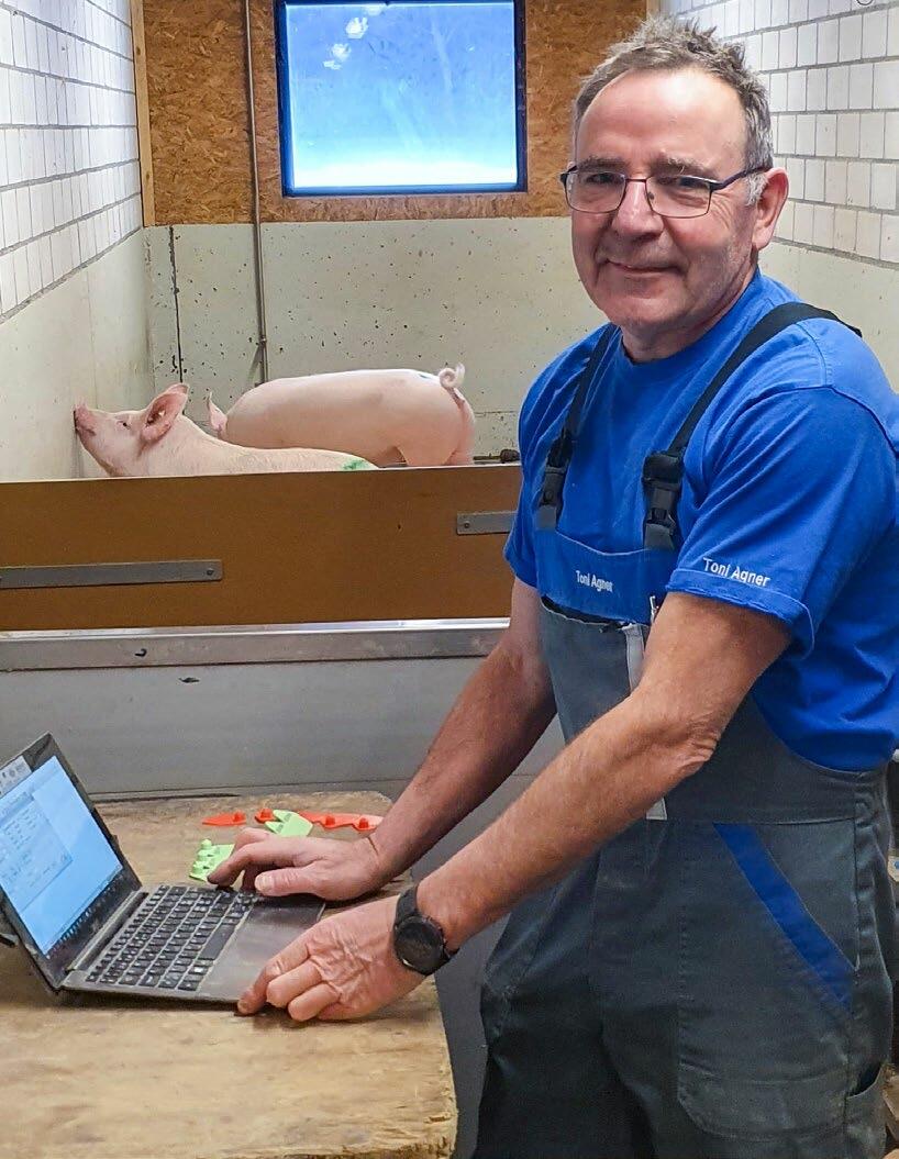 Toni Agner, chef d’exploitation du domaine Schwizer, en train d’enregistrer les données à la porcherie.