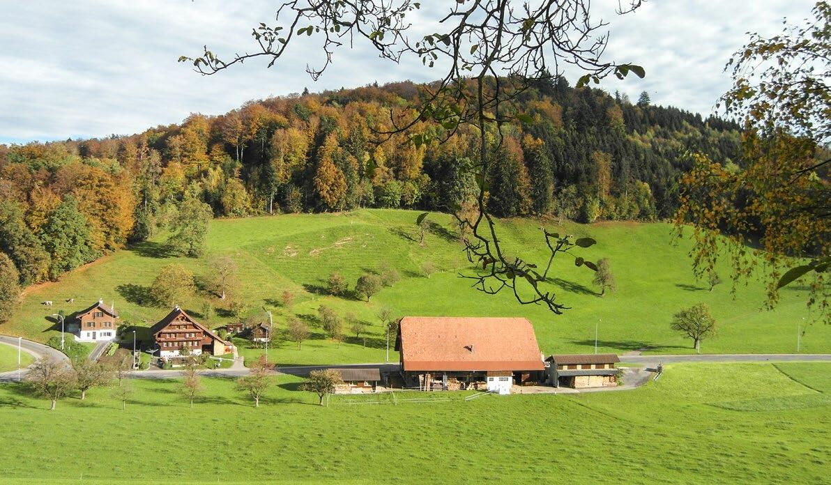 Erreicht der Betriebsleiter oder die Betriebsleiterin das Rentenalter bevor der Hofnachfolger oder die Hofnachfolgerin volljährig ist, macht es Sinn, de...