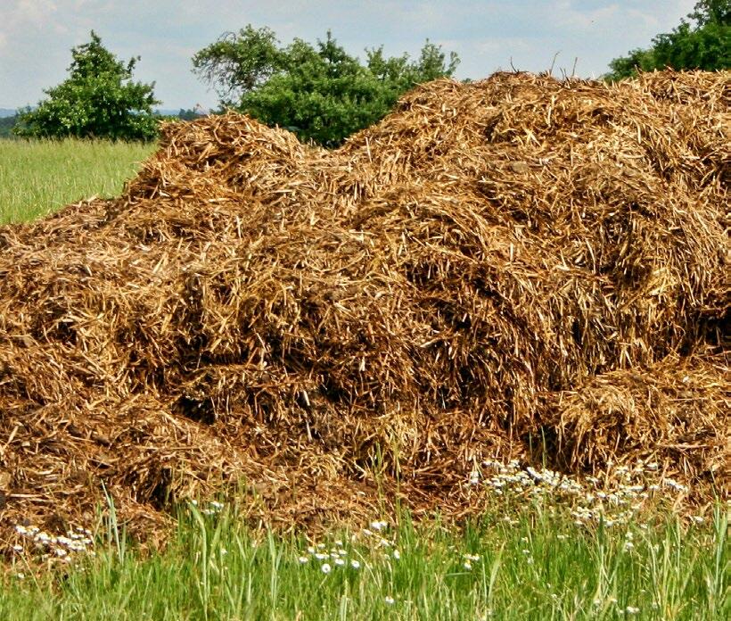 Die grosse Inhomogenität erschwert es, den Nährstoffgehalt des Hofdüngers zu bestimmen.
