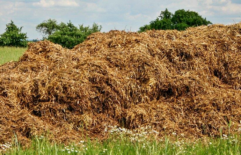 La grande hétérogénéité du fumier rend difficile l’estimation de sa teneur en éléments nutritifs.