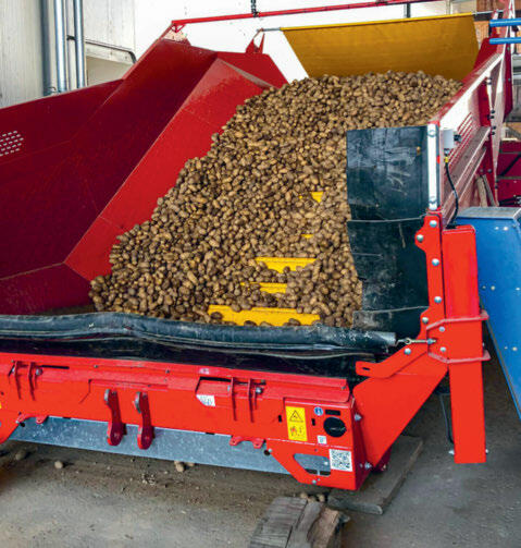 Die Konsequenz des Kartoffeljahrs 2021 zeigt sich in halbausgelasteten Kartoffelannahmestellen und Lagern.