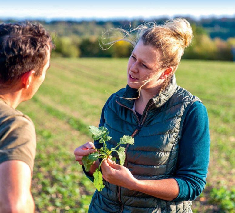 Les possibilités et les exigences en matière de couverture d’assurance et de prévoyance varient en fonction de l’état civil et des contrats de travail a...