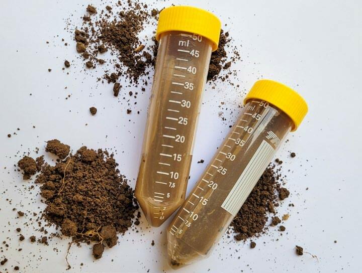 Aus den Bodenproben wird der Nährstoff extrahiert, was eine Interpretation über dessen Verfügbarkeit im Boden ermöglicht. 