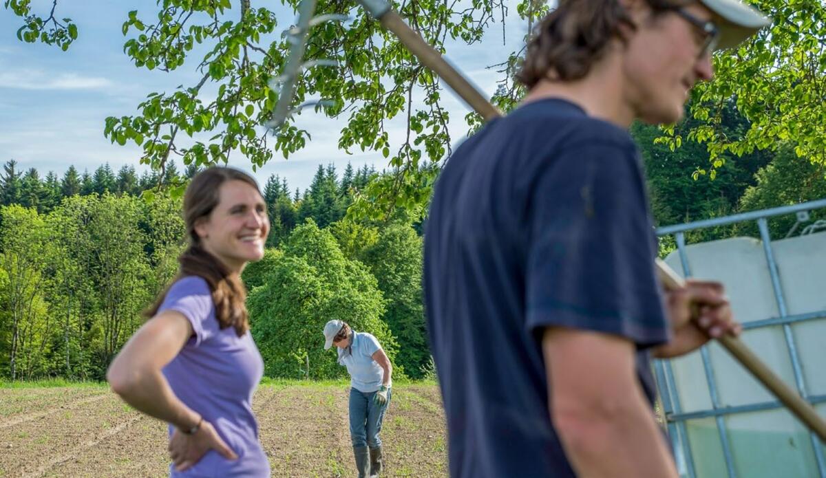 Auf dem Katzhof im Kanton Luzern ist der Gemüseanbau in den Händen von Konsumentinnen und Konsumenten. Gemäss Kooperationsstelle Solawi sind in der Schw...