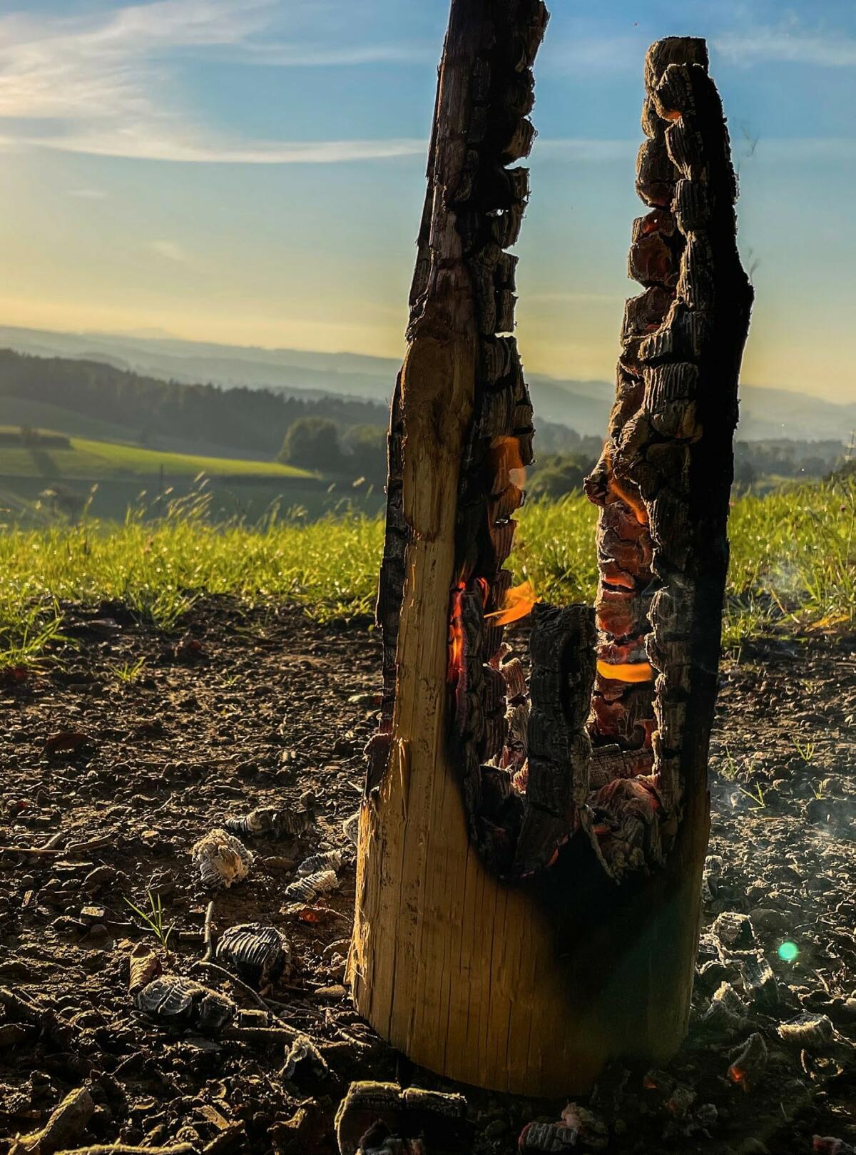 Eteindre l’incendie avant qu’il ne soit trop tard : à un stade précoce, un burn-out est relativement facile à soigner à domicile ou de manière ambulatoi...