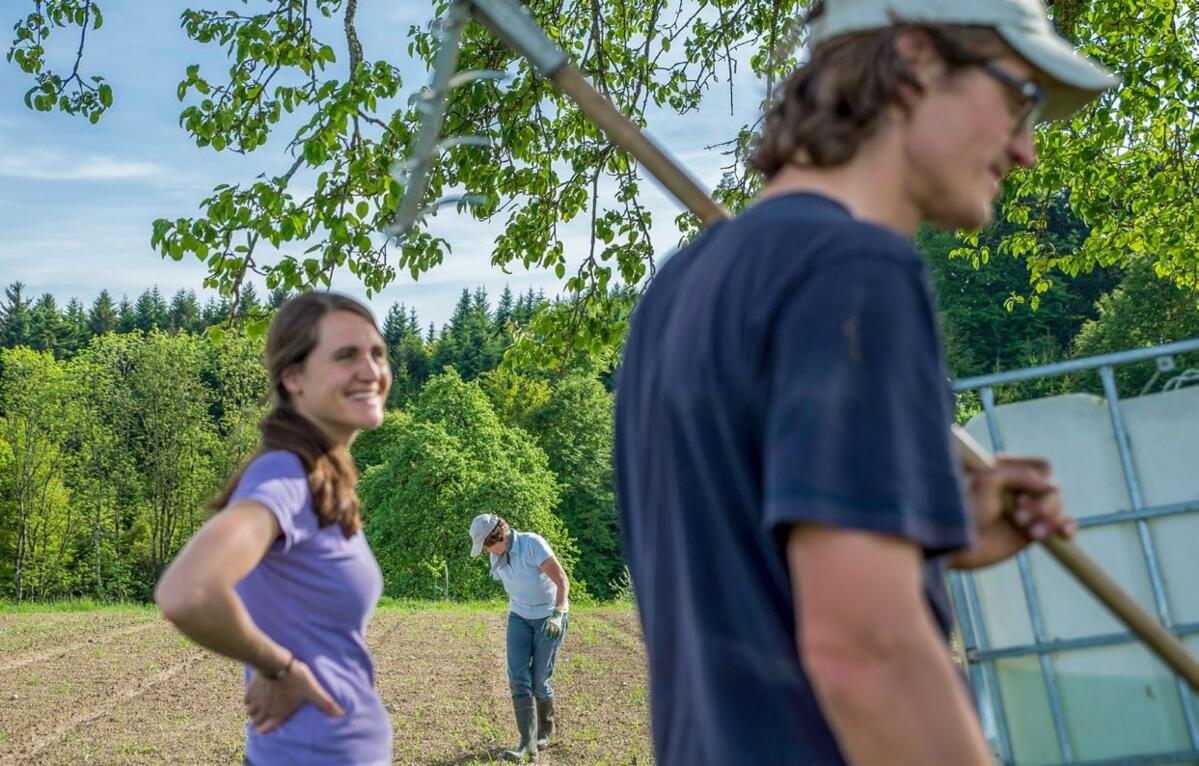 Au Katzhof, dans le canton de Lucerne, la production maraîchère est gérée par les consommatrices et les consommateurs. Selon le bureau de coordination S...