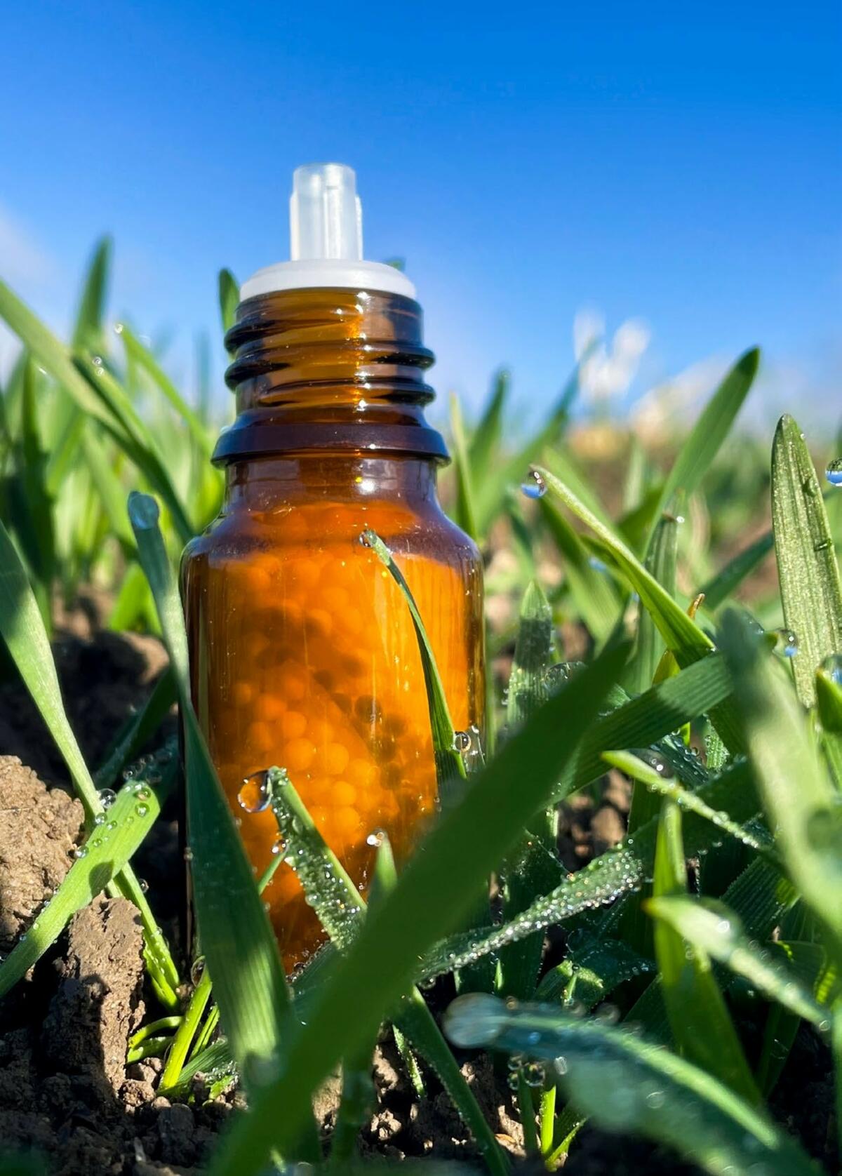 Avant d’être épandus, les granules doivent tout d’abord être dissous dans l’eau.