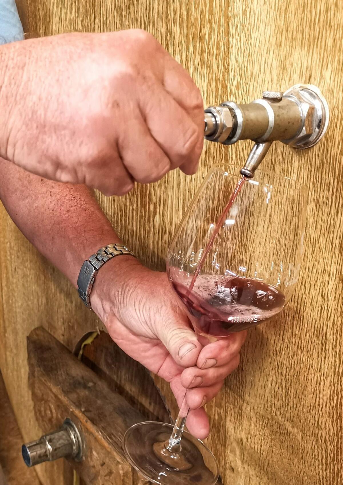 La qualité supérieure des vins de Zeiningen est aussi due à un professionnalisme accru, à la limitation des quantités, aux nouvelles variétés et à l’exp...