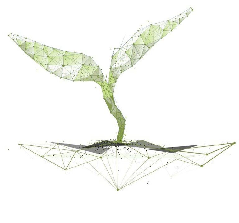 sélection végétale