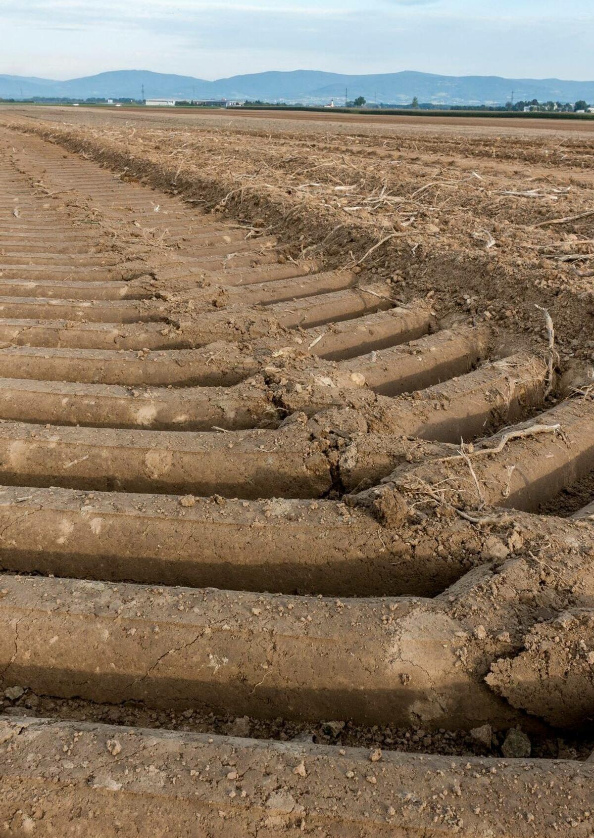 Ein stark verdichteter Boden hat ein zerstörtes Gefüge, was das Bodenleben einschränkt und somit Erträge mindern kann.