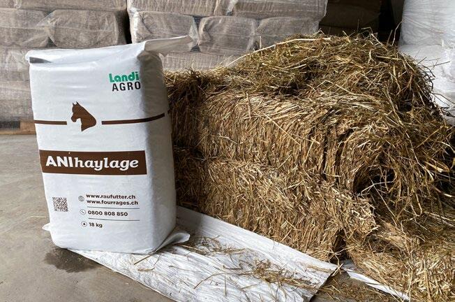 Anihaylage als 18- und 130-kg-Ballen. Die Grösse der gewählten Balle sollte an den täglichen Verbrauch angepasst werden.