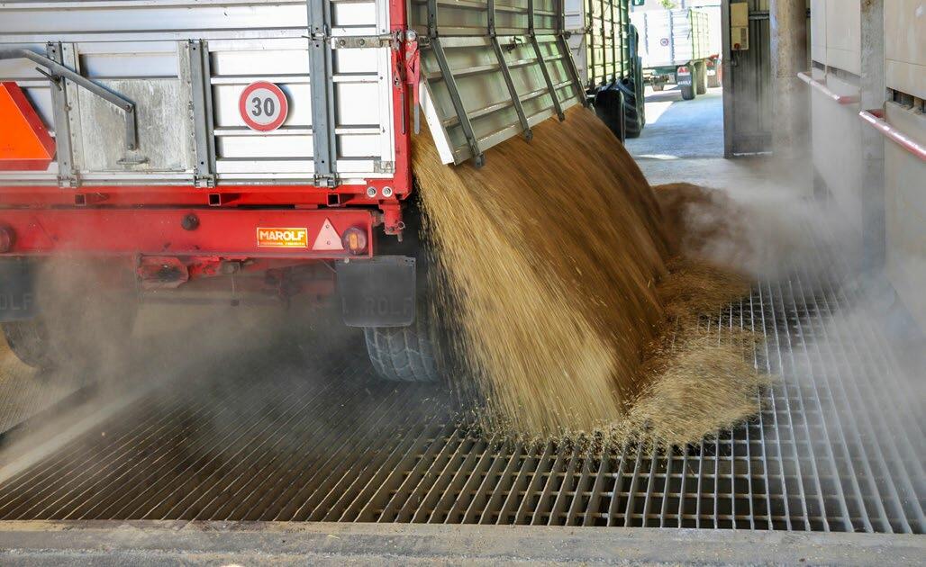 Suppléments de prix et trajets plus courts : les exploitations bio pourront décharger leurs récoltes dans 50 centres collecteurs de céréales bio apparte...