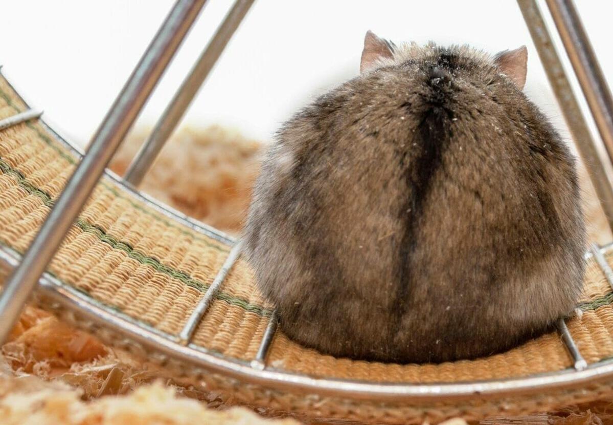 Nur der Blick aufs Ganze bringt das Rad zum Stoppen. Wer nur einzelne Interessen verfolgt, riskiert, dass sich der Arbeitsdruck innerhalb des Betriebs v...