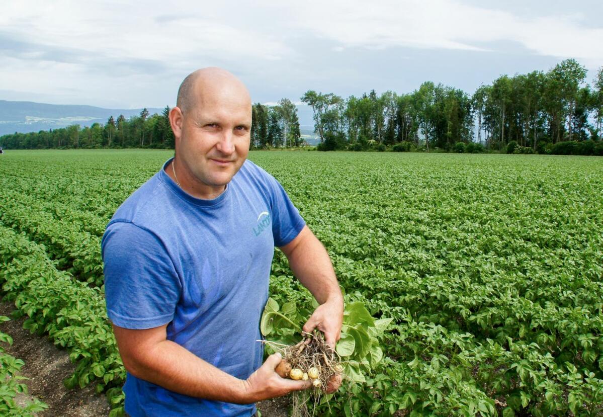 Abteilungsleiter Johannes Knöpfle ist auf dem Grossbetrieb Witzwil für den Anbau und die Lagerung von Saatkartoffeln zuständig. Die hohen Anforderungen...