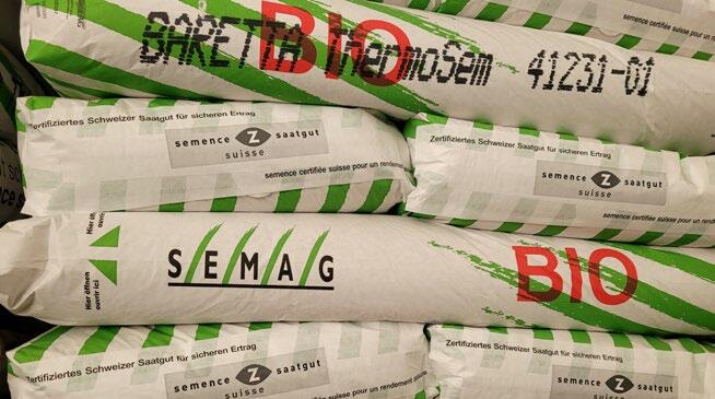 Pour le blé, l’orge et le triticale, dix variétés traitées au moyen du procédé ThermoSem sont désormais disponibles. Elles sont autorisées pour toutes l...